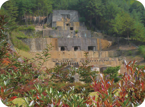일월산자생화공원 이미지